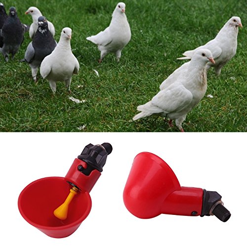 10 PCS Poultry Water Drinking Cups Bird Drinker Feeder Plastic Automatic Drinker for Livestock Chicken Hen Chicken Coop Feed Bow