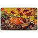 QIYI Thanksgiving Bath Rug, Halloween Non Slip Doormat, Orange Decorations for Home, Fall Indoor Décor Office Floor Mats, Kitchen Dining Living Bathroom Bathtub Rugs 16