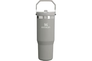 Stanley IceFlow Stainless Steel Tumbler - Vacuum Insulated Water Bottle for Home, Office or Car Reusable Cup with Straw Leak 