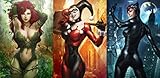 Harley Quinn Batman Arkham City Fabric Cloth Rolled Wall Poster Print -- Size: (47