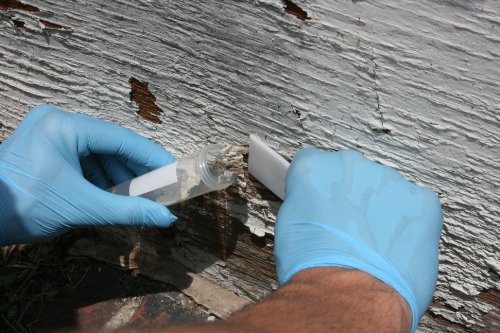 2 Lead+Test+Paint+Dust+Schneider