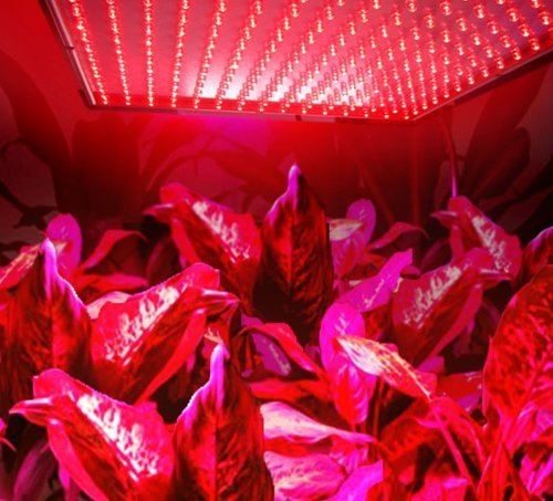 Superdream® LED Grow Light for Indoor Garden Greenhouse and Hydroponic Full Spectrum Growing Lamps 15W 225pcs Red Light Hanging Light
