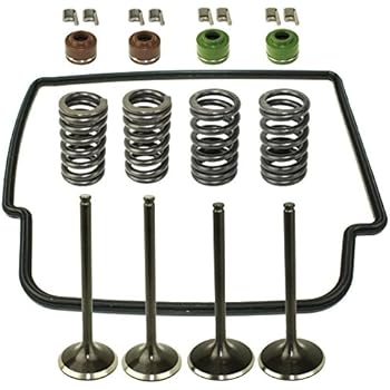 Amazon Com Caltric Cylinder Intake Exhaust Valve Gasket