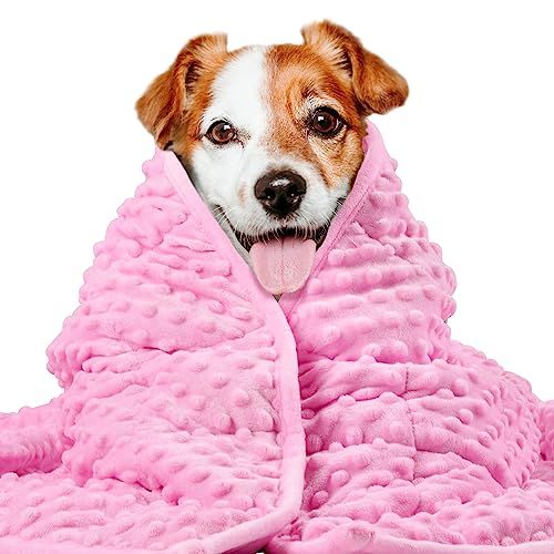 LaSyL Weighted Blanket
