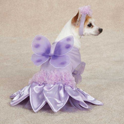 Casual Canine Sugar Plum Fairy Dog Costume
