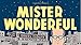 Mister Wonderful: A Love Story