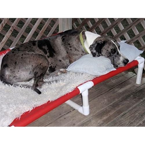 great dane dog beds