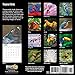 2020 Tropical Birds Calendar 16 Month 12 x 12 Wall Calendar by Bright Day Calendars (Bird Collection) (Tropical Birds 2019)
