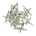 Dovewill Rose Flower Branch Pattern Cross Charms Pendants DIY Necklace Bracelet Jewelry Making Craft Findings Pack of 20