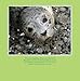 Leopard & Silkie: One Boy's Quest to Save the Seal Pups (My Readers)