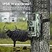 TOGUARD Trail Camera 14MP 1080P Game Hunting Cameras with Night Vision Waterproof 2.4