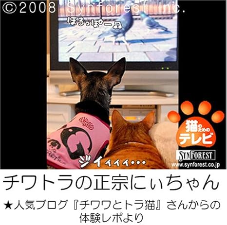 Amazon Co Jp シンフォレストdvd 猫のためのテレビ Dvd版 ニャンコたちへの贈り物 Dvd ブルーレイ バラエティ
