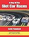 A Day at the Slot Car Races: The Model Racing Book with Exclusive Photos & Interviews by Carlo Tonalezzi