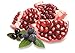 MOCU Kombucha Probiotic Drink Mix, Acai Blueberry Pomegranate Pow - No Sugar Added - 12 Count