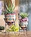 Southwest Garden Planters - Set of 2