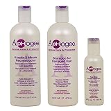 APHOGEE Serious Care & Protection Hair Care Kit