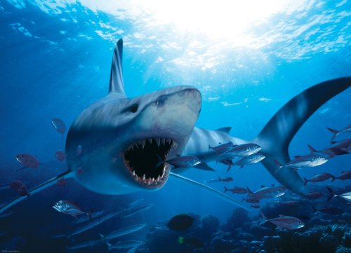 EuroGraphics Hungry Shark 1000 Piece Puzzle