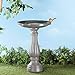 Bloem Peppercorn Bird Bath, Durable Plastic Garden Decor, 25