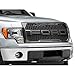 Raptor Style Grille with F-O-R-D Lettering & LED Lighting - for Ford F-150 (Excluding Raptor) 2009-2014