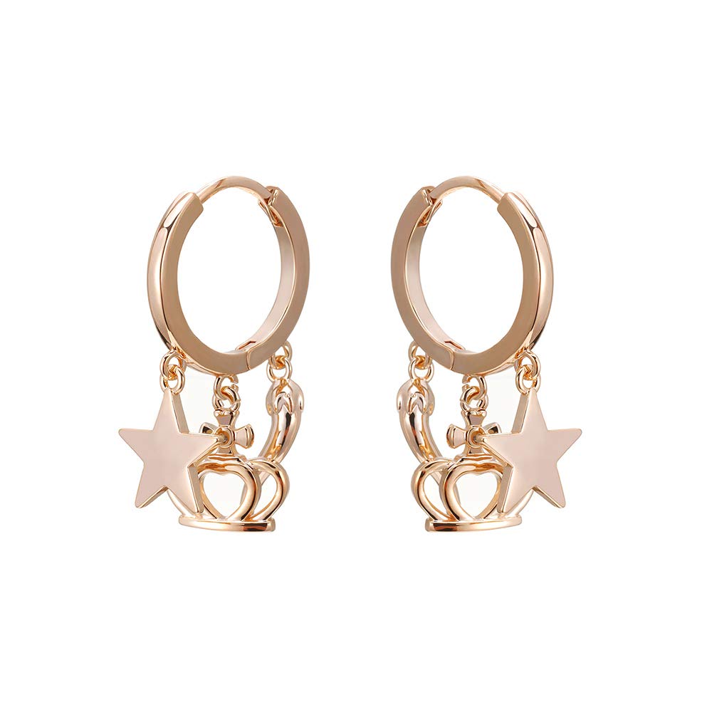 Hypoallergenic Copper Earrings for Women, Stars/Crown/Chili Drop Hoop Earrings Gold Silver Women High Fashion Jewelry Women Earrings Gift for Friends,Mom