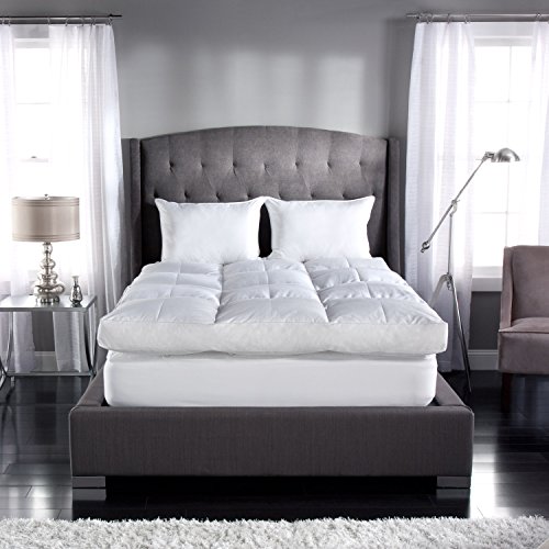 Trump Home 400 Tc Pillow Top Feather Bed Bed Size Queen Buy