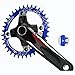 ColorGo Oval Narrow Wide Chainrings 104BCD 32T/34T/36T Single Speed Chain Rings For MTB/BMX Balck /Red/Blue/Green