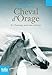 Cheval d'Orage (Tome 2) - Chantage pour une victoire (French Edition) by 