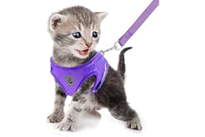 FEimaX Dog Harness and Leash Set for Walking, Soft Mesh Adjustable Easy Control Lightweight Cat Vest Harnesses with Reflective Strips, Escape Proof Small Dogs Cats Vests