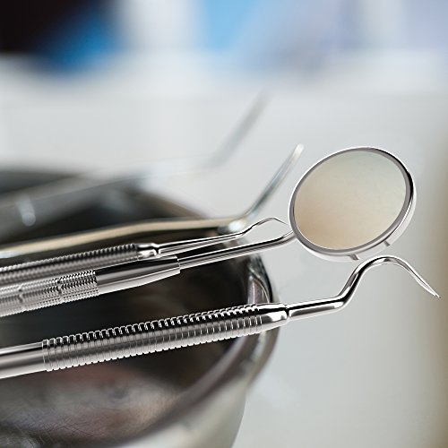 5 Equinox+International+4+Piece+Dental+Hygiene