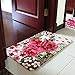 Beautiful Rose Flower Area Rug Soft Bathroom Rugs Bath Mat Non Slip Door Mat Kitchen Rug Welcome Mat (18.50 x 30.31 Inch)