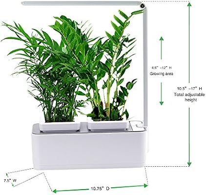 Aibis hierbas aromáticas para interiores, sistema de crecimiento ...