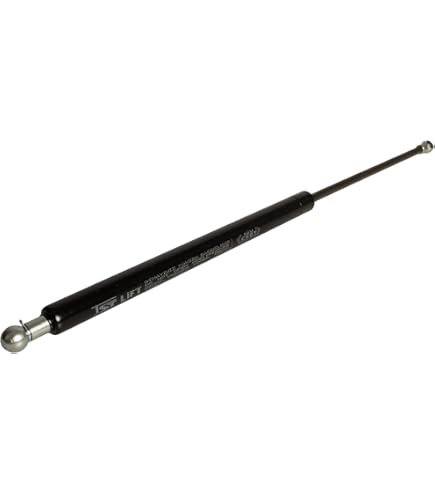 Amazon.com: Holdwell Door Cylinder Gas Strut Spring 7157893
