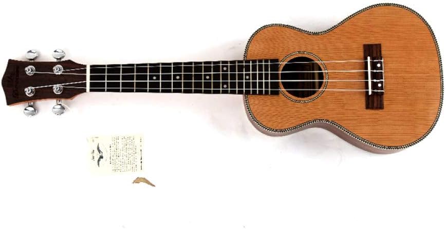 Instrumento musical de cuatro cuerdas mas pequeã±o que la guitarra | Las  mejores guitarras