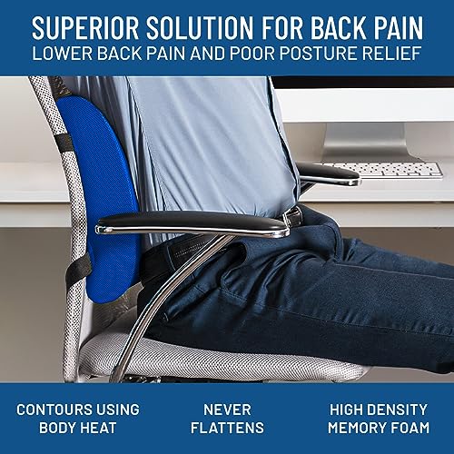 Everlasting Comfort The Original Lumbar Support Pillow Improves