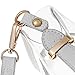Clear Crossbody Messenger Shoulder Bag for Women Adjustable Strap, NFL Stadium Approved Trasparent Purse (Gray)