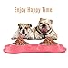 Pawaboo Pet Dog Cat Bowls, Premium Stainless Steel Pet Feeder with Food Grade Bone Shaped Rubber Base, 4.33 Inch Diameter Bowls for Pet Dog Cat Food or Water, Set of 2, Small Size, Pink