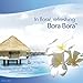 Febreze Small Spaces Bora Bora Waters Air Freshener Refills, 3 pack