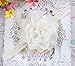 niceeshop(TM) 10 Pieces Baby Girls Cute Flower Chiffon Headband Hair Accessories