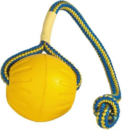 Julius K9 59838 Swing & Fling Durafoam Fetch Ball On A Rope - 2,5 ...