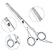 AuroTrends Professional Barber Razor Edge Hair Cutting Shears Set,Hairdressing Scissors and Hair Thinning Scissors/Shear Set+ Free Case/Hairclips/Comb/Cleaning Cloth (Blue)