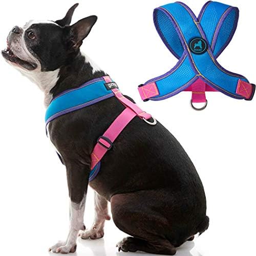 Gooby Dog Harness – Comfort X Head-in Small Dog Harness with Patented Choke-Free X Frame – Perfect on The Go No Pull Harness for Small Dogs or Cat Harness