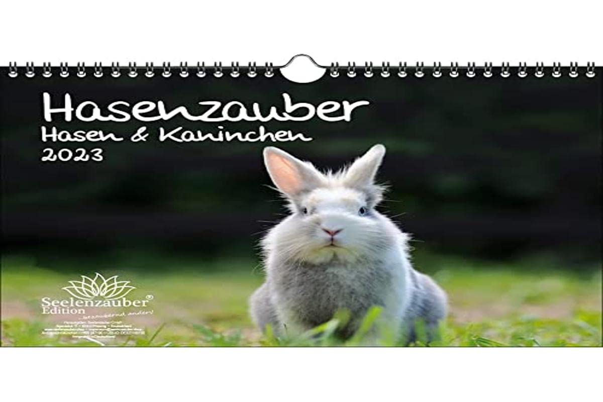 Hasenzauber Rabbits and Rabbits DIN A4 Calendar for 2023 - Soul Magic, Multi-Colour, KN2023-4W-0027-D-0