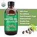 VASSOUL Organic Castor Oil - USDA Certified Organic 100% Pure, Cold-Pressed, Best Treatment for Eyelashes Growth Serum - Promotes Natural Eyebrows, Hair & Eyelash Growth, Protect Nail and Skin