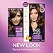 Clairol Age Defy Expert Collection 5G Medium Golden Brown 1 Kit, 1 Count (Pack of 3) (PACKAGING MAY VARY)