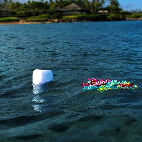 2 Eco+Water+Urn+Biodegradable+Burial