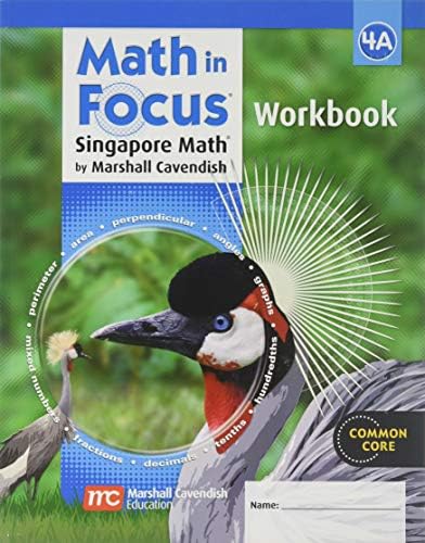 Amazon.com: Math in Focus: Singapore Math Volume B Grade 7