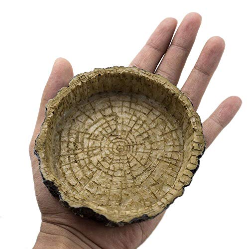 AROYEL Reptile Bowl Food Water Dish Bearded Dragon Gecko Meal Worm Feeder, Resin Feeding Food Water Dish Dispenser Snack Holder for Tortoise Spider Lizard - Thumbnail 5