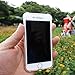NeWisdom iPhone 8 case Clear, iPhone 7 Crystal Clear case,Shockproof, Shock-Resistant