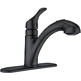 Moen Renzo Matte Black One-Handle Pullout Kitchen or Laundry Faucet Featuring Power Clean, CA87316BL