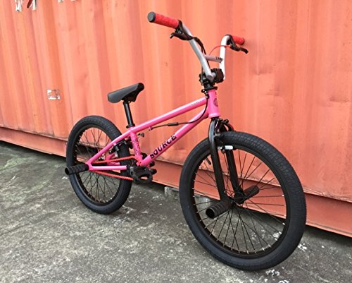 B074l4j92s 限定オールペイントカスタム 本格派bmx 小学生からのbmxカスタムバイク Tnb インチ Seek Flatland Custom Bar 6 5 Pink Bmx 柔らかい